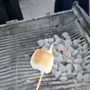 구멍가게 | 내돈내산 LA 근교 여행구멍가게 조슈아트리 투어 솔직 후기