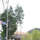 월남참전 기념탑(고 이미지