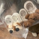 한농유기농 건강체험마을 | 전주 투머취 플리마켓 방문 후기 &amp; 정보 총정리 (육아맘 필수 체크!)