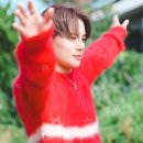 The 시아 네이버블로그