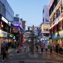 자연노래연습장 이미지