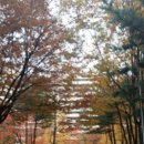 주공아파트 6단지 이미지