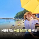 2026 국내 여름휴가지 추천 BEST (feat. 스노쿨링 포인트)