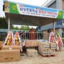 삼상초 이미지