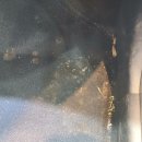 369스팀세차 이미지