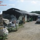 하가등리 이미지