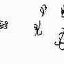 원시(原始)-기호( 이미지