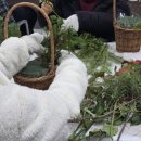정읍남초등학교 이미지