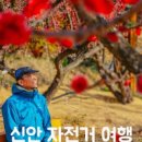 대광자전거 이미지