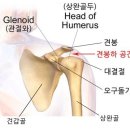 새로워 GYM 이미지