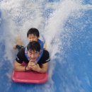 재놀스배어린이집 이미지