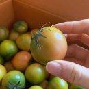 은율농장 이미지