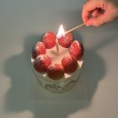 마이오운가든 | 선유도역 카페 마이오운가든 두바이 케이크 내돈내산 후기 딸기케이크도 맛있더라