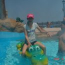 근수목장 이미지