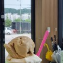 금충한의원 이미지