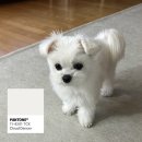 지우헤어샵 - 이천시 | 지우헤어샵