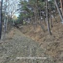 치유의숲야영장팬션