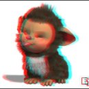 아이러브펫 이미지