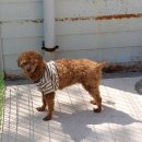 최영준동물병원 이미지