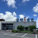 제주냉면맛집 금오름맛집 금악무짠지냉면 내돈내산 방문후기