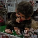 비비안경주점 | [2026_4_1] 온전히 일주일 #35 : 한번 슥 후꾸오까