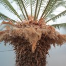 인삼랜드휴게소 이미지