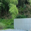 보스케토 삼동 이미지