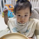 김상은농장 이미지