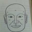 관상학 이미지