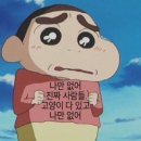 고양이동산 이미지