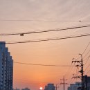 독도노래연습장 이미지