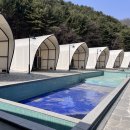 가평신축글램핑!~ 가평 더라이온글램핑 내돈내산 찐후기 🏕️