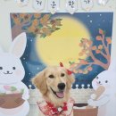 어뮤즈 호텔 이미지