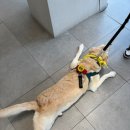 범어동물병원 이미지