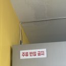 노란국수