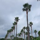 제주건강과 성박물관 이미지