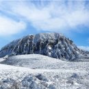 오성목장 1 이미지