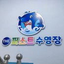 더 퍼스트 수영장 이미지