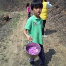 들풀 비빔밥 이미지