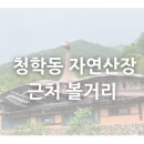 청학동자연산장