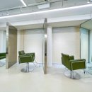 그린헤어 이미지