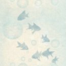 SUN세차장 | 29개월(4)