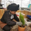 덕인농원 이미지