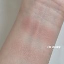 441 | 헤라 블러쉬 441 로지베일, 456 넛셸 내돈내산 후기