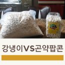 씨드앤드파트너스 | 포만 곤약팝콘 강냉이 뻥튀기 칼로리 비교 솔직후기 다이어트 간식추천 강냉이 다이어트 곤약 팝콘 맛은?