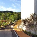 리스모어 이미지