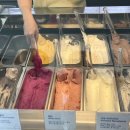 할타보카 이미지