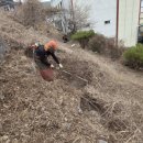 박원로 | 경기도 광주시 초월읍 한누리전원교회 석축 칡덩굴 예초 벌목 가지치기까지 깔끔하게