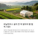 비닐하우스 티스토리