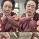 엑스포스짐 이미지